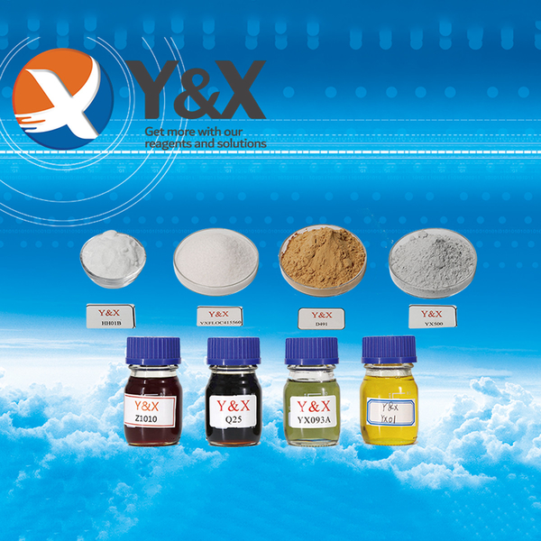 CHINA Y&X Beijing Technology Co., Ltd. Perfil da empresa 